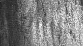 Catalase Crystals
