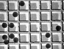 TEM Calibration Test Kits