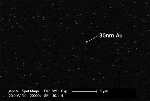 Gold Spheres on Vitreous Carbon Test Specimen