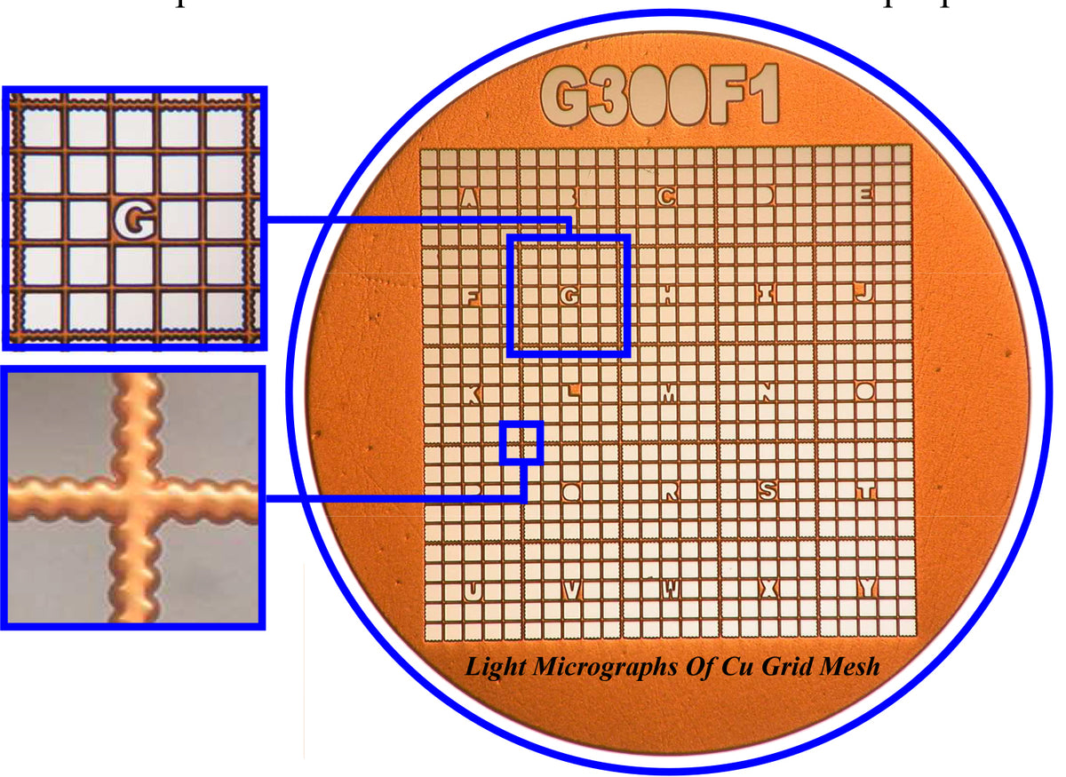 Gilder Finder TEM grids