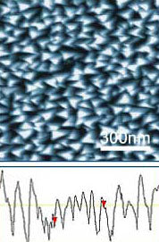TipChecker for AFM Probes