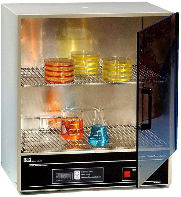 Convection Ovens