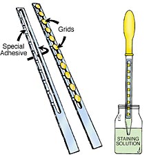 PELCO SynapTek GridStick™ and Adhesive