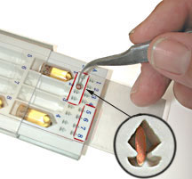 Multi Purpose EM Grid Boxes