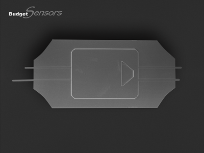 Tipless AFM Probes