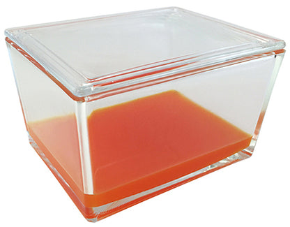 Staining Dishes & Racks for Large Slides