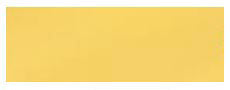 Gold Coated Glass Slides