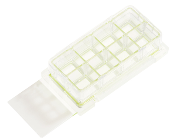 Chamber Cell Culture Slides