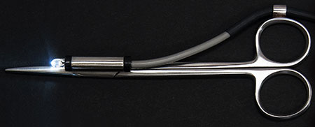 LED Lighted Forceps