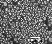 Gold on Carbon High Resolution Test Specimens