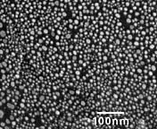 Gold on Carbon High Resolution Test Specimens