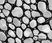 Gold on Carbon High Resolution Test Specimens