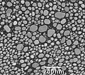 Gold on Carbon High Resolution Test Specimens