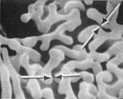 Low & Medium Magnification Resolution Test Specimens