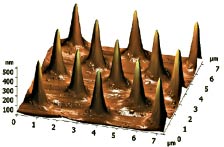 AFM Test Gratings