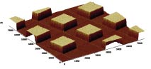 AFM Test Gratings