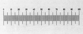 Low Magnification Calibration Ruler