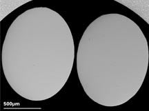 Back Scattered Electron Test Specimens
