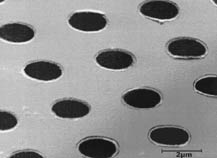 Ultrathin Carbon on QUANTIFOIL® TEM Holey Carbon Film