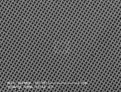 500nm Cross Line Grating Replica