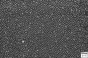 AuSome™ Resolution Test Specimen for SEM, FIB & FESEM