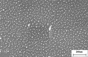 AuSome™ Resolution Test Specimen for SEM, FIB & FESEM