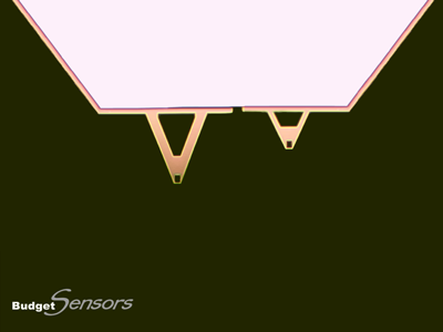 Diamond and DLC Coated AFM Probes
