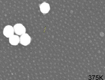 AuSome™ Resolution Test Specimen for SEM, FIB & FESEM
