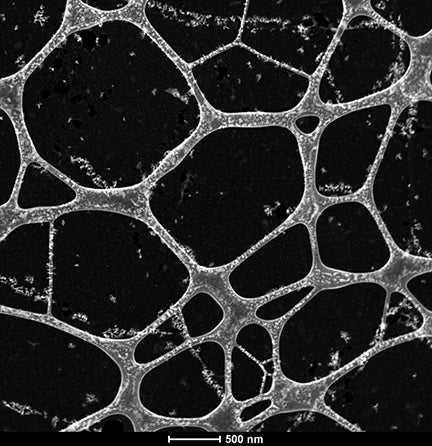 PELCO® Graphene Oxide on Lacey Carbon
