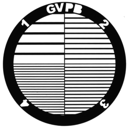 Gilder Parallel TEM grids