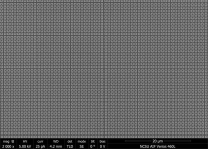Silicon Magnification Specimen