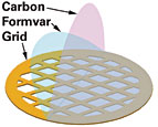 Formvar Stabilized with Carbon (5-10nm) on TEM Grids – AllEm