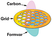 Ultrathin Carbon Type A (3-4nm) with Removable Formvar on TEM Grids
