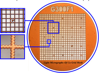 Gilder Finder TEM grids