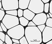 PELCO NetMesh™ Lacey Carbon - No Formvar - on TEM Grids