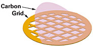 Carbon Film (20-30nm) only on 300 mesh TEM Grids