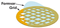 Formvar Films (30-60nm) on TEM Grids