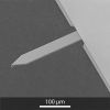 OPUS® Ultrasharp AFM Tips