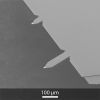 OPUS® Soft Tapping Mode AFM Tips