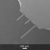 OPUS® Soft Tapping Mode AFM Tips