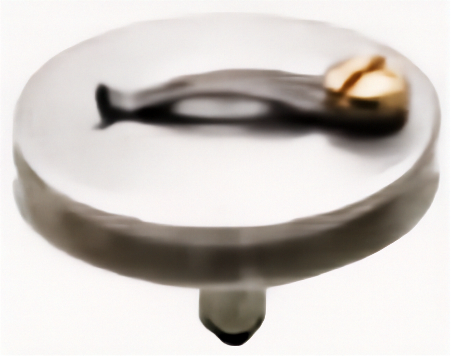 PELCO SEMClip™ Pin Mounts for FEI/Philips, ZEISS/LEO, Cambridge, Leica, Amray, CamScan and Tescan SEMs